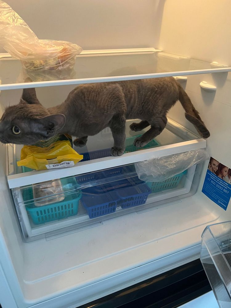 05-15-55-16533969471870835832