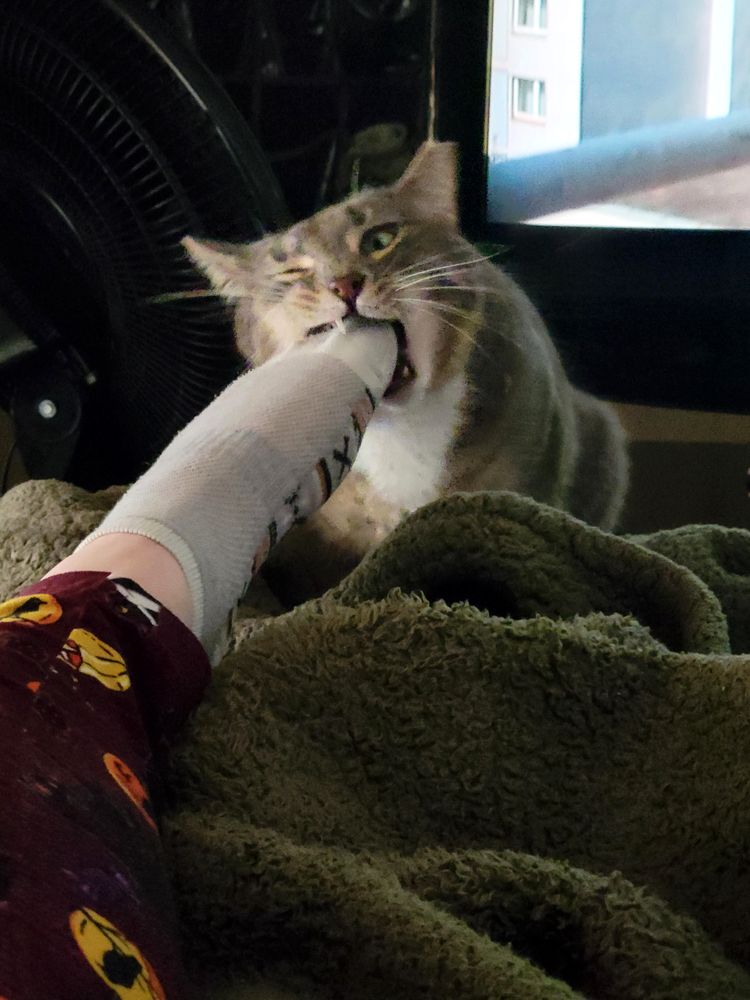 05-15-55-16533969504737637