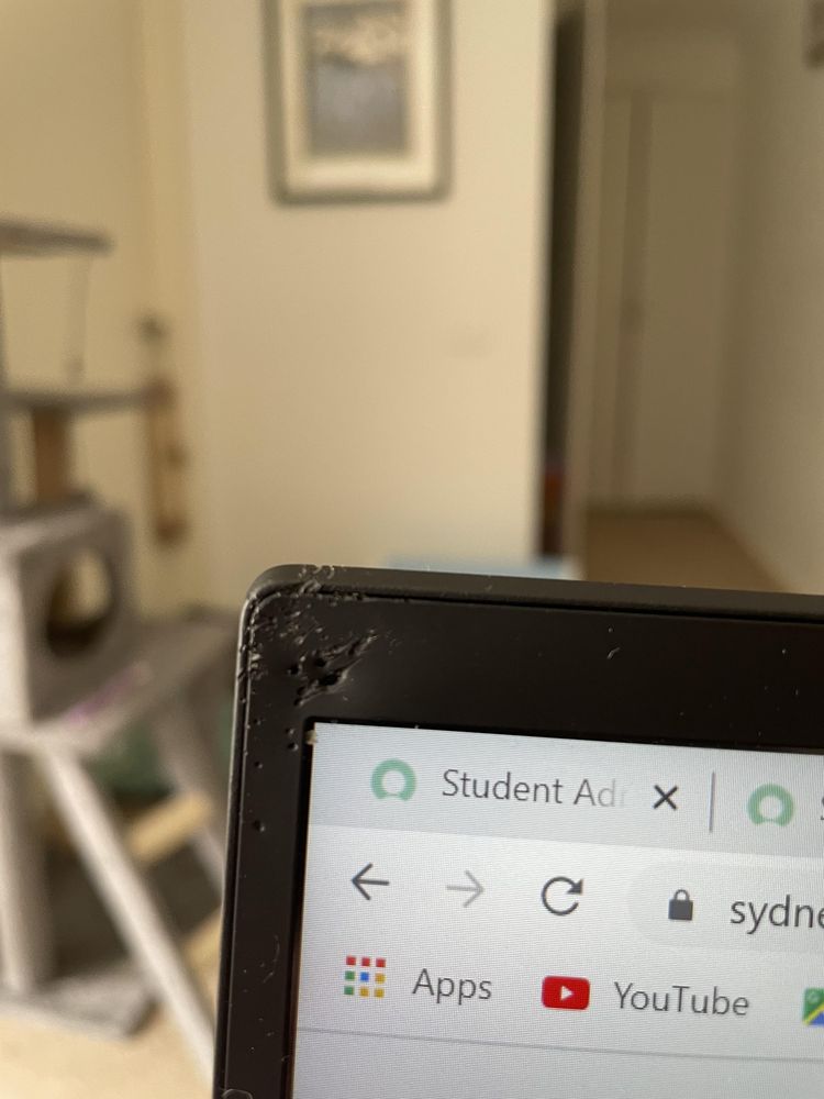 05-15-55-1653396953366450850