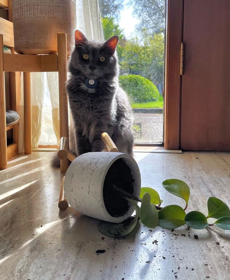 05-15-55-16533969591527545294