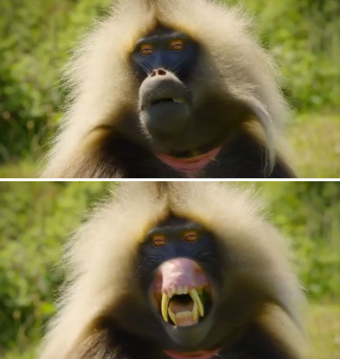 05-15-55-16536561292112590482