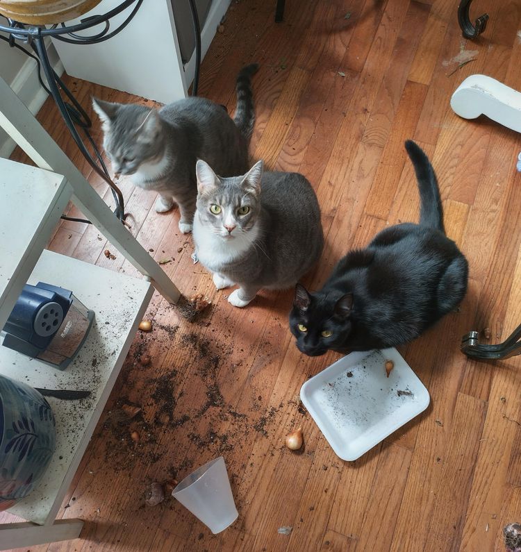 05-15-56-1653396968513342028