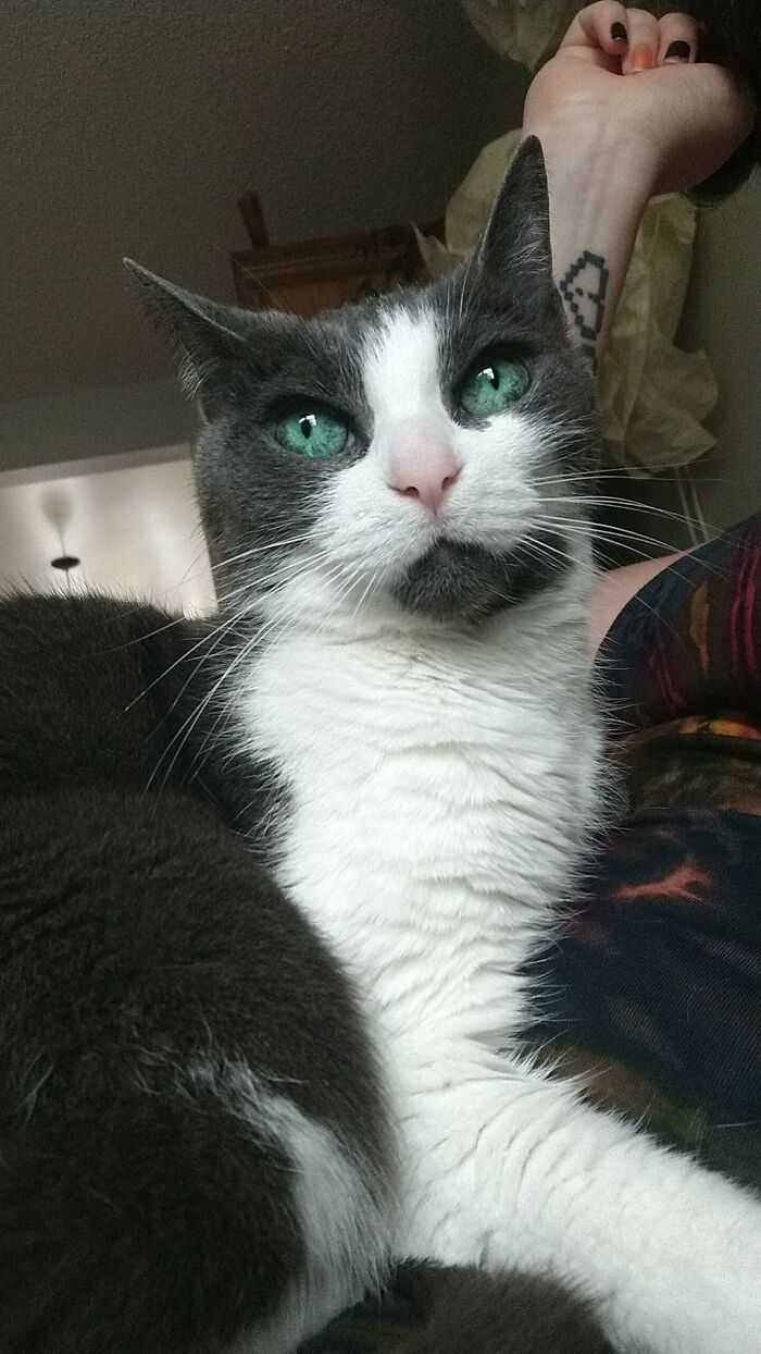 05-16-05-1652274343378020358