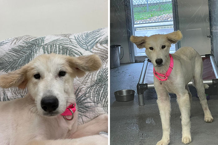 05-16-07-1652274442194588093