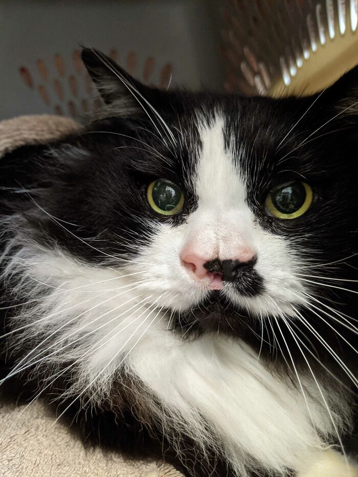 05-16-07-16522744671278275773