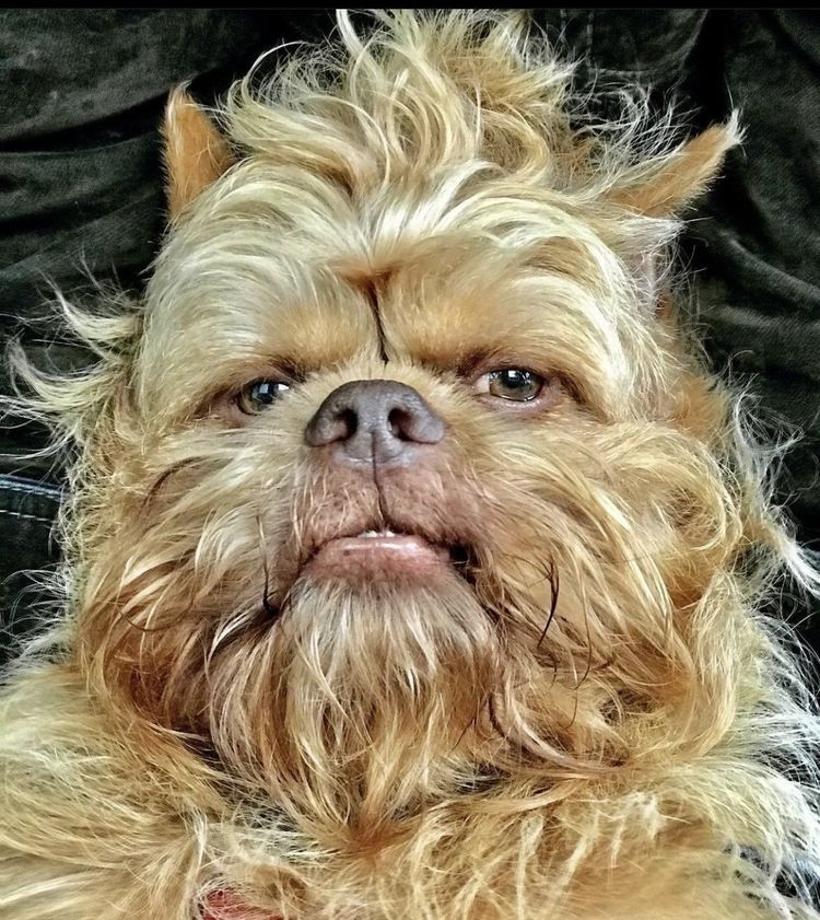 05-16-08-16522744811473453774