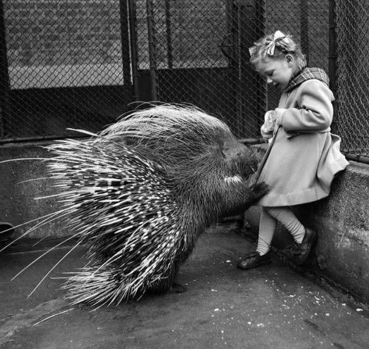 05-17-11-16523647132018282410