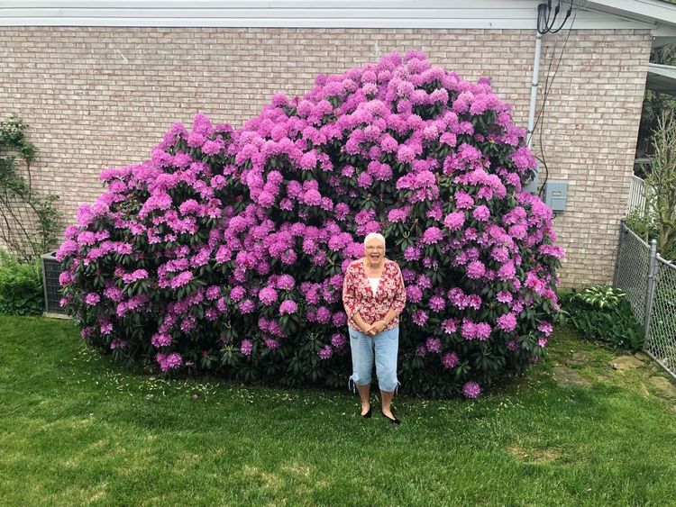 05-17-19-1653574766353507087