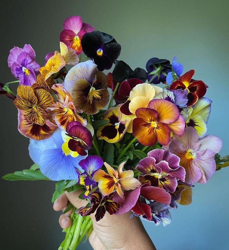 05-17-19-16535747751546270625