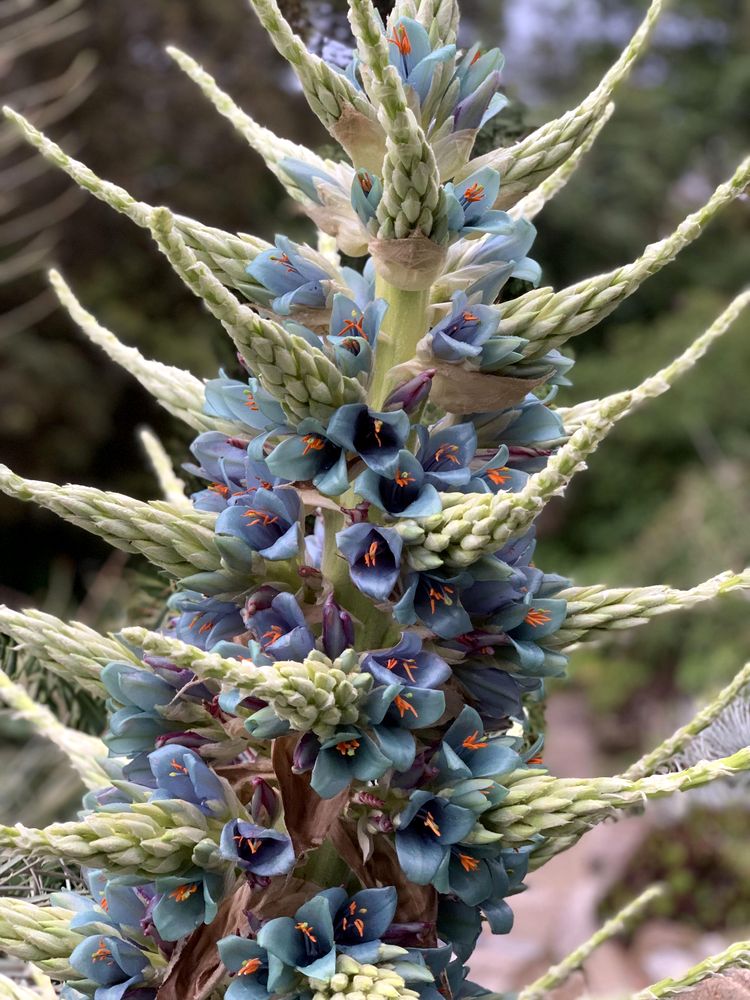 05-17-19-1653574780771402171