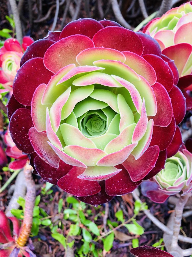 05-17-19-1653574786984055737