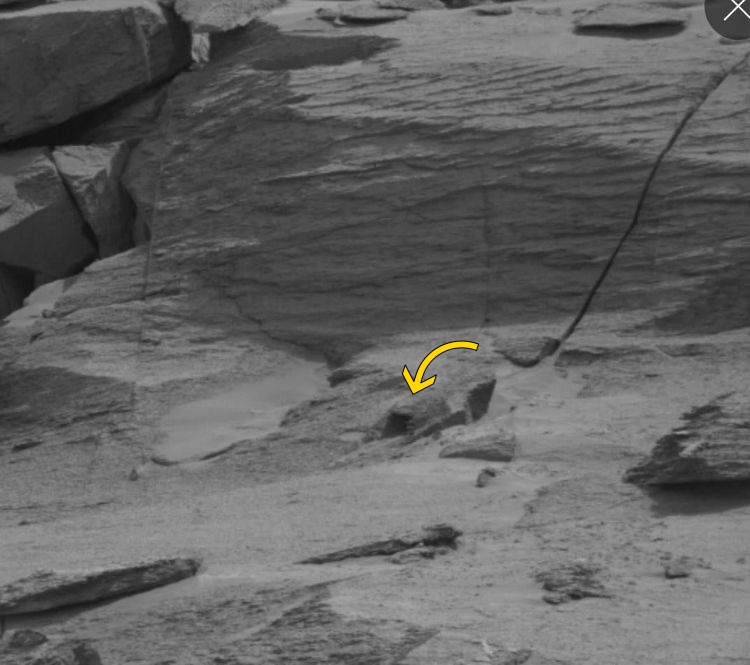 05-19-03-1652371411850599770