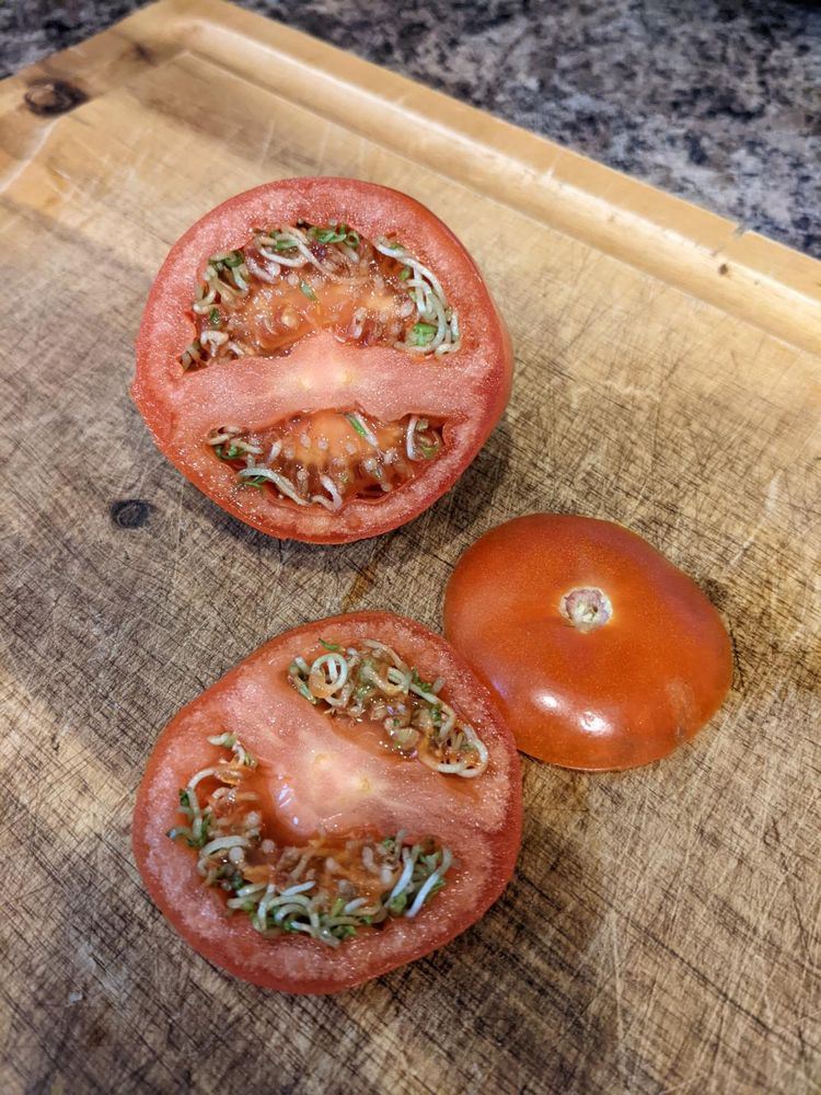 05-22-53-16517804172049832915