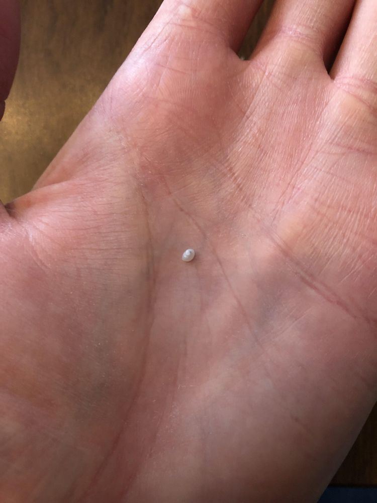 05-22-53-16517804251279424054