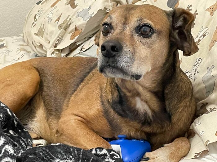 06-11-05-16551939031694351836