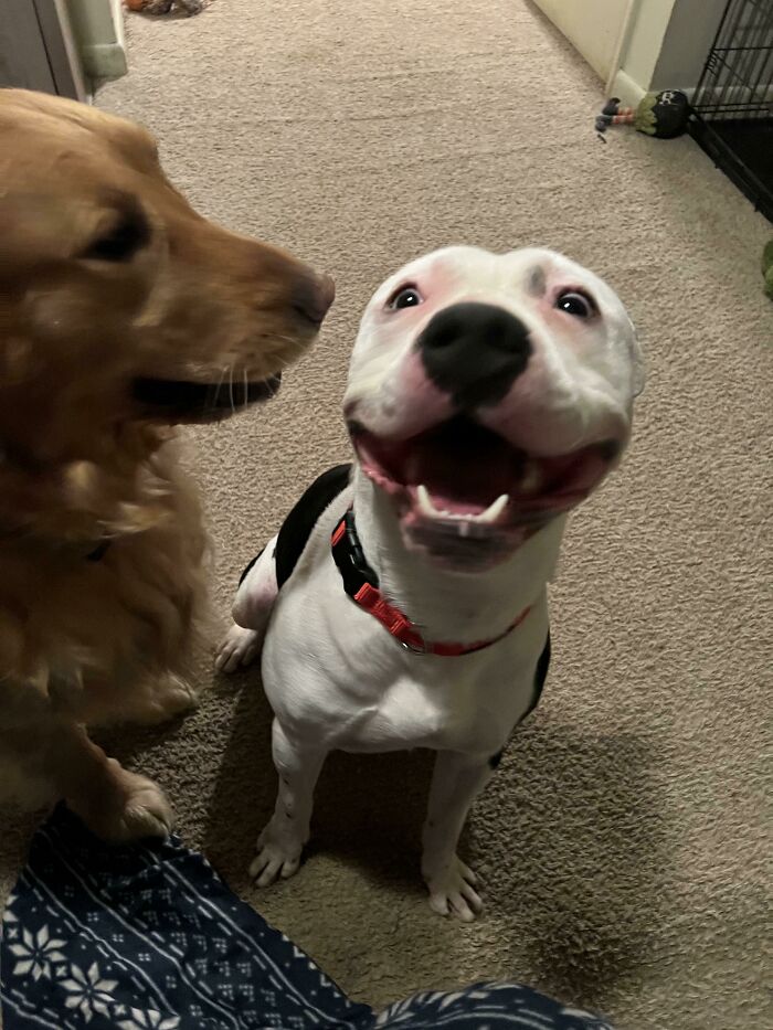 06-11-05-1655193918992464883