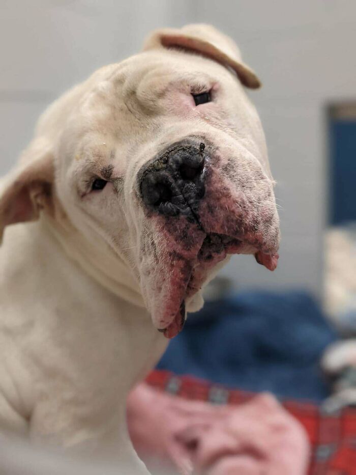 06-11-05-1655193942910736649