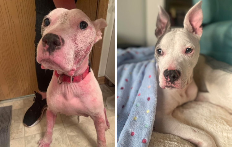 06-11-06-16551939791351826239