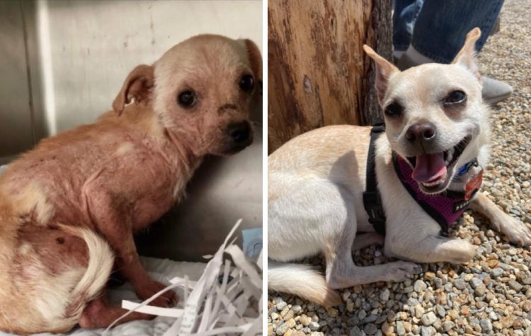 06-11-06-16551939824058724