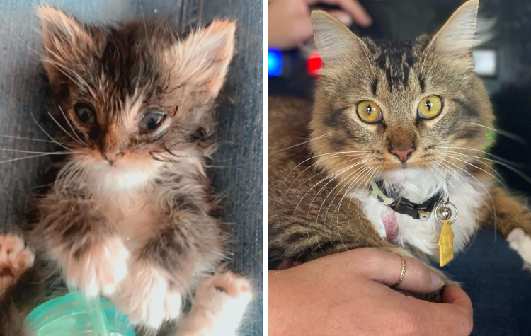 06-11-06-1655193993842582671