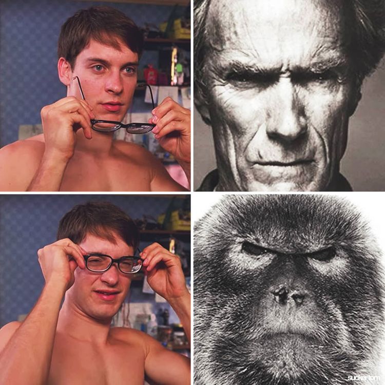 06-11-46-16564059832066874066