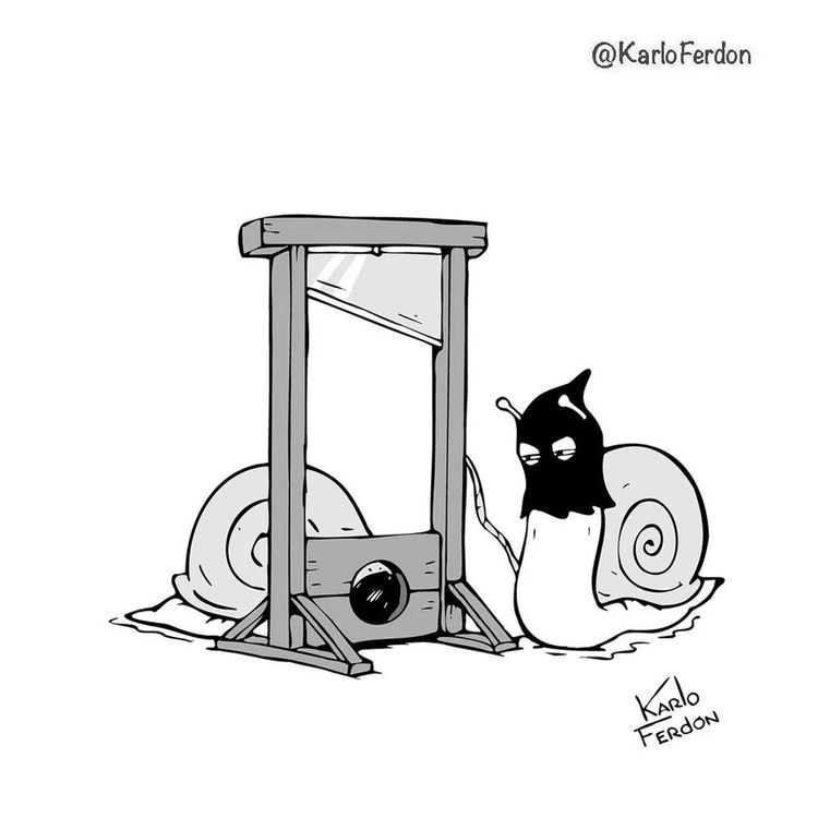 06-12-03-1656493407826872823