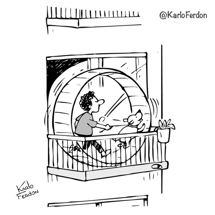 06-12-03-16564934311878026890