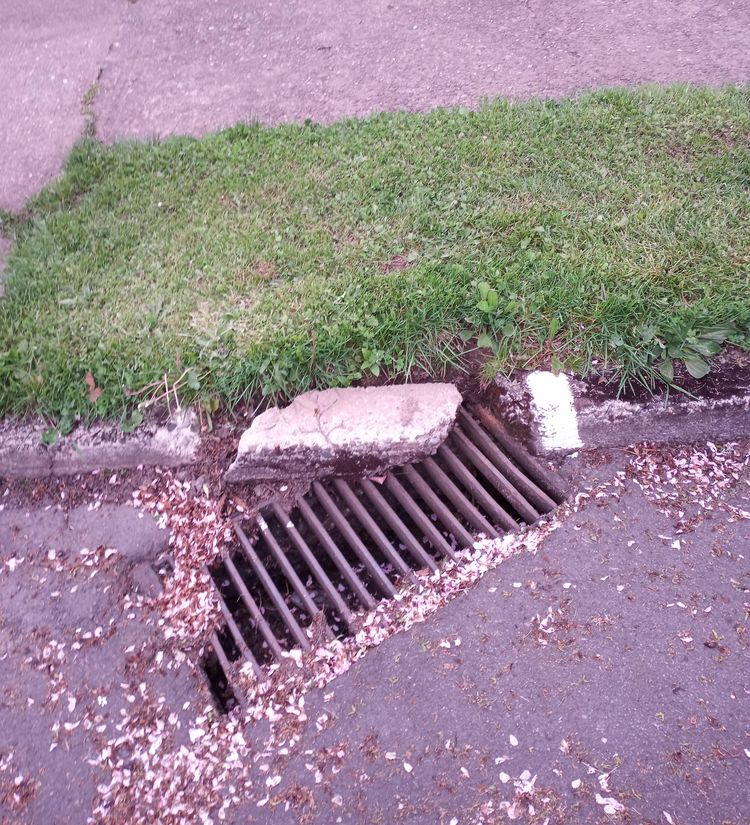 06-12-09-1654247382746800826