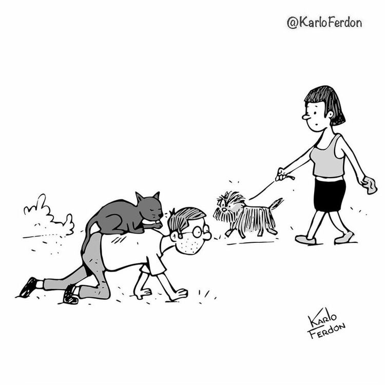 06-12-10-1654593047448344432