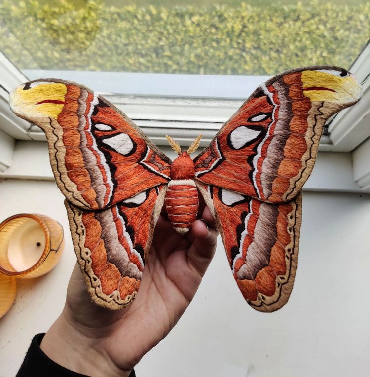 06-12-12-1655197946679881026