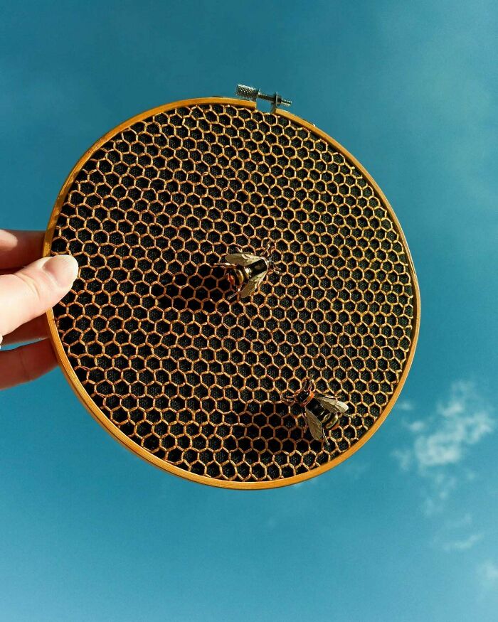 06-12-12-1655197958578660651