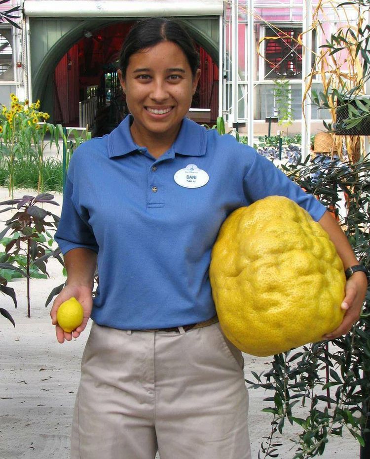 06-12-35-1654680927968082560