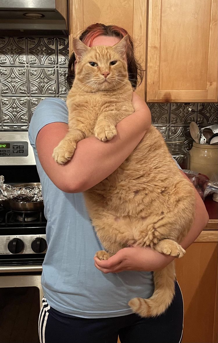 06-12-36-1654681017605667967