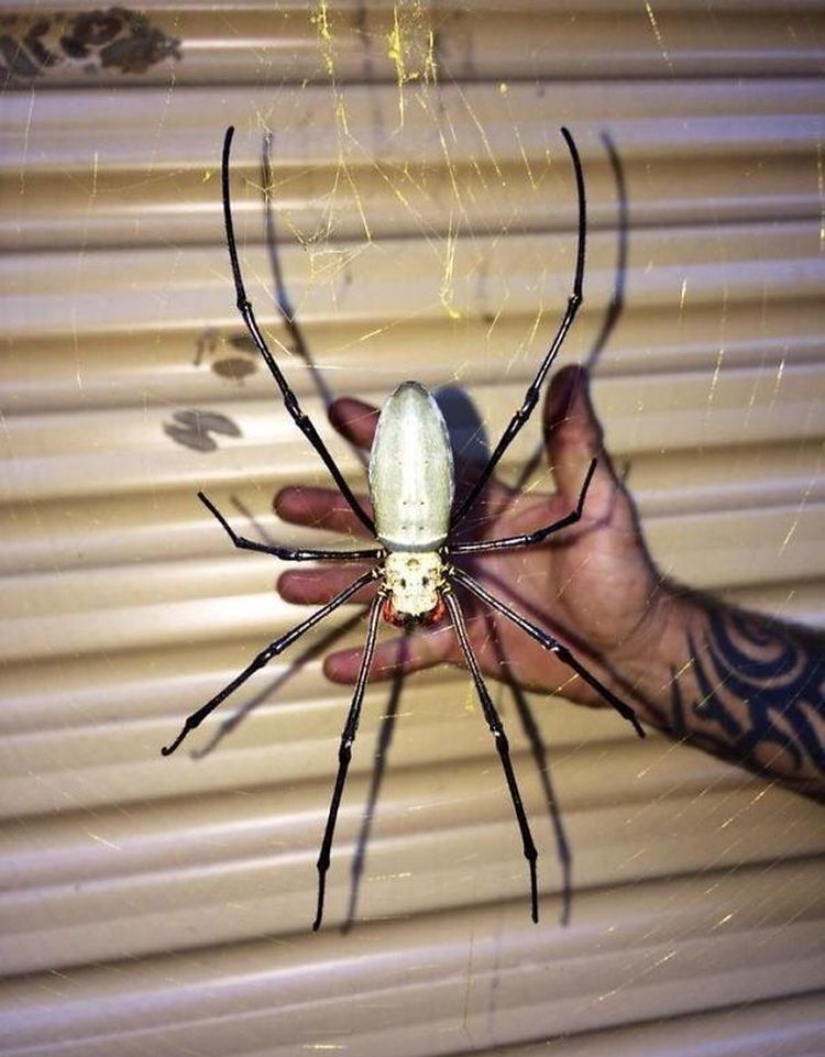 06-12-37-1654681032292557053