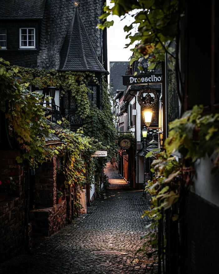 06-12-48-1656582498757232882