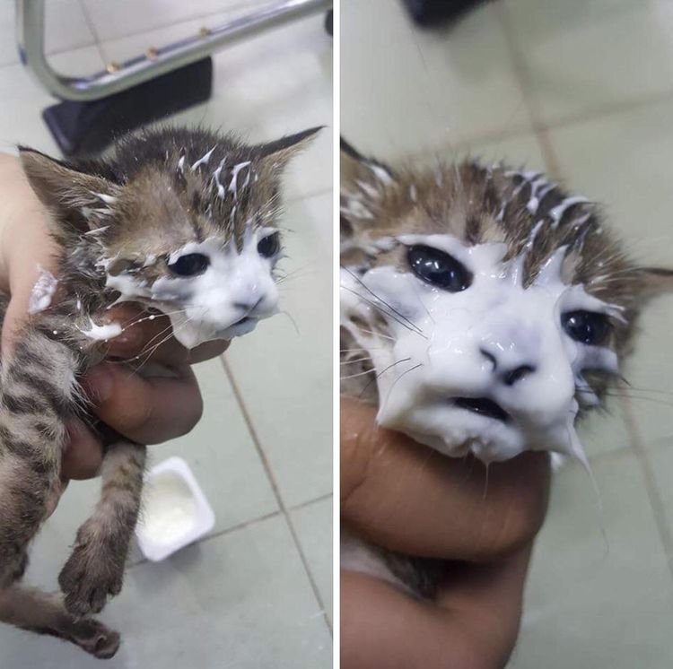 06-13-37-1656326260336398840