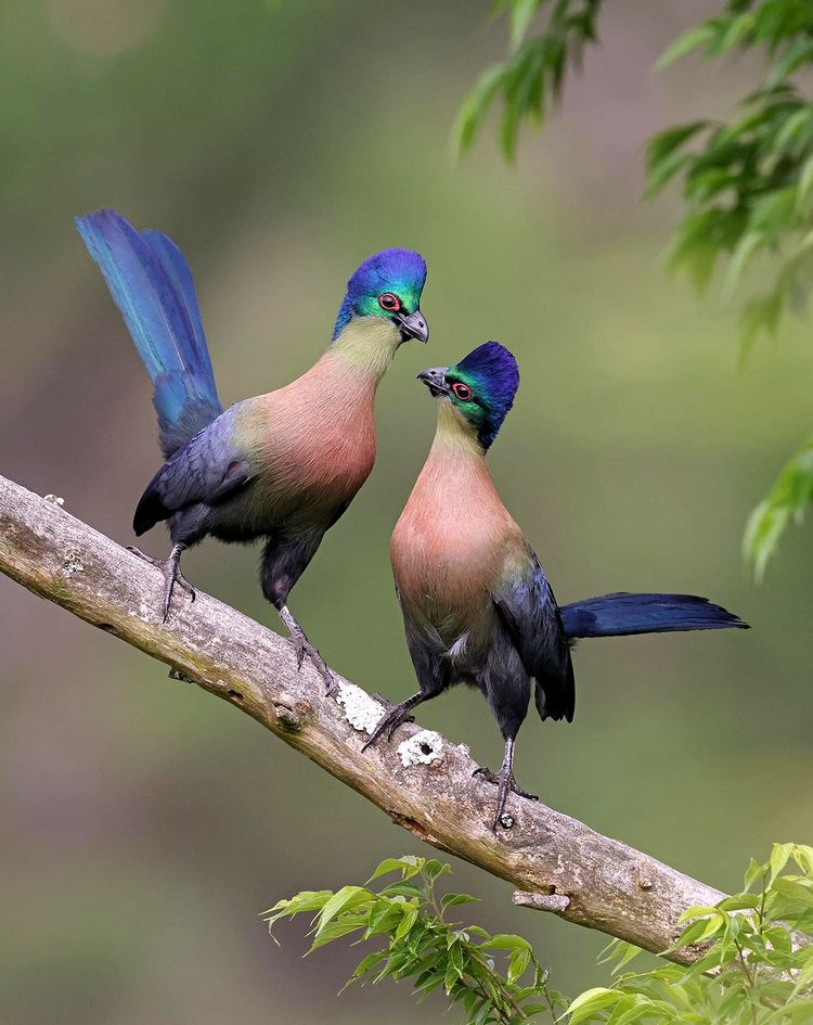 06-13-46-1654598810410126134