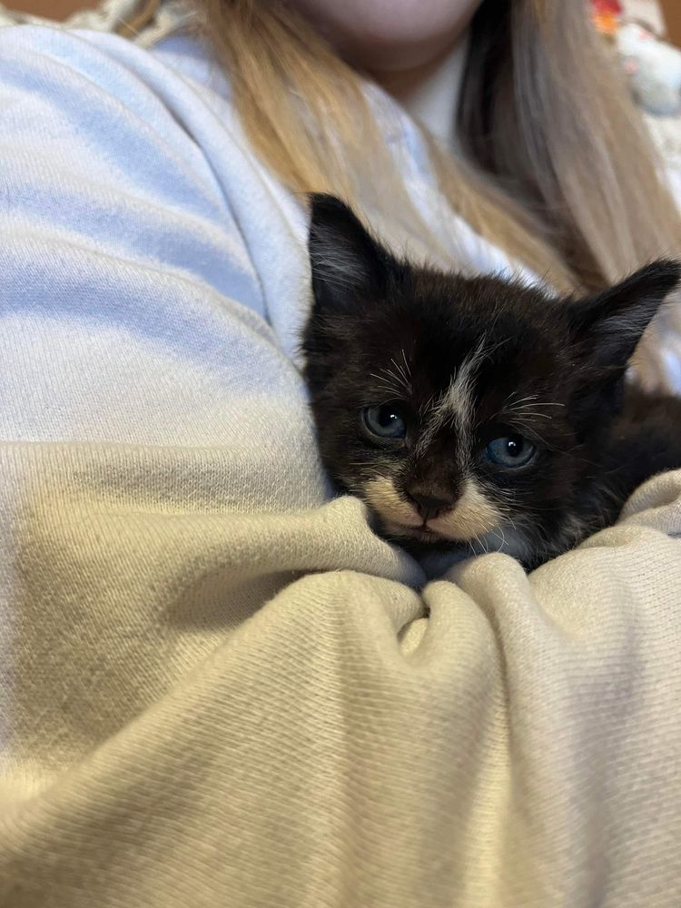 06-13-47-1654598820168494039