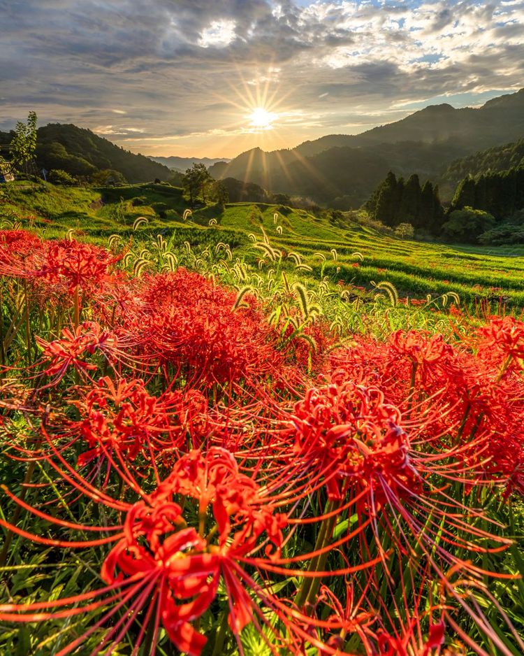 06-13-47-16545988572074117391