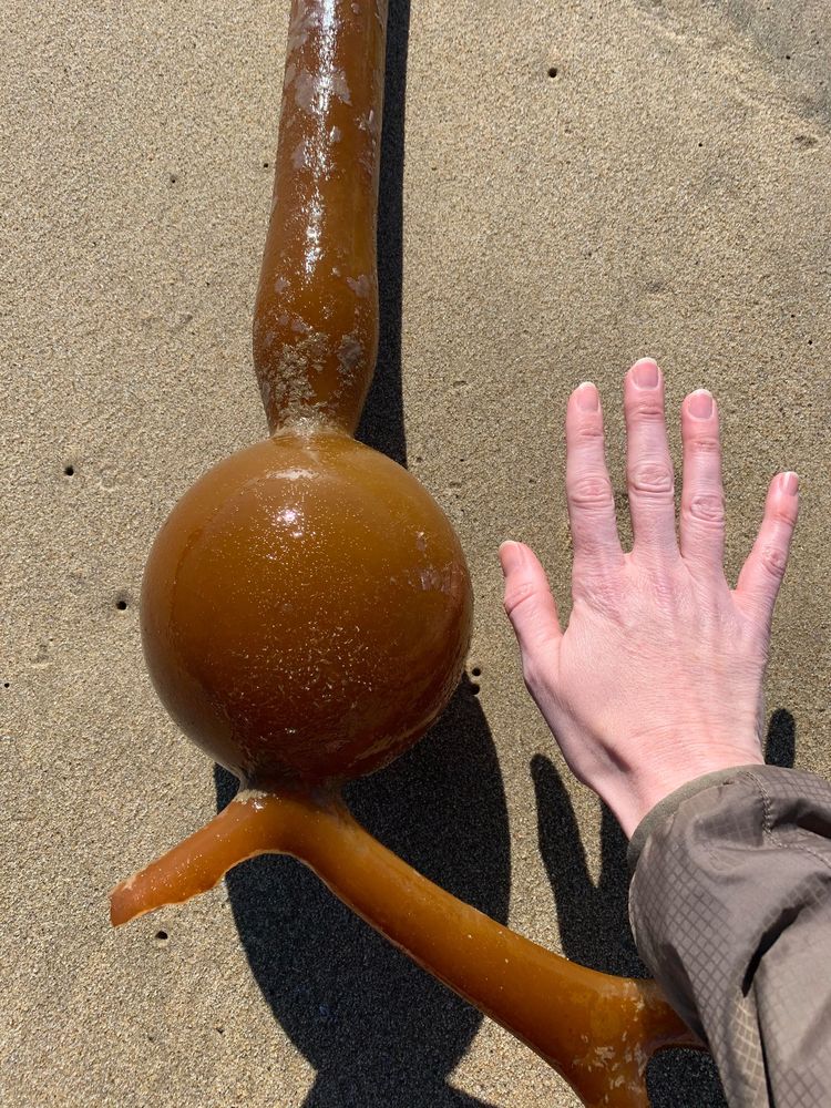 06-13-47-1654598860608129881