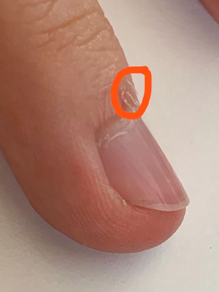 06-14-04-16560686991286551214