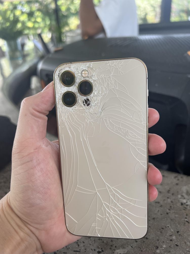 06-14-05-16560687011511566210