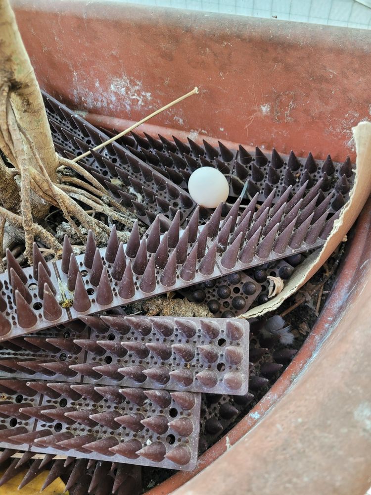 06-14-05-16560687211754607711