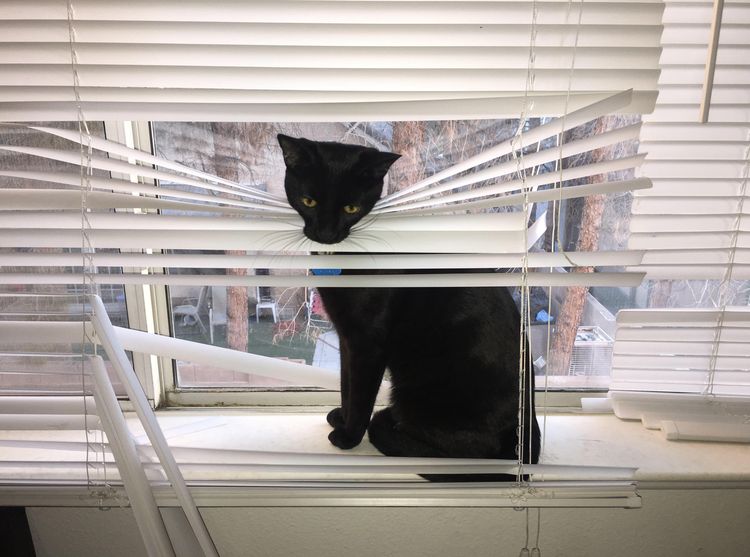 06-14-05-1656068731907538519