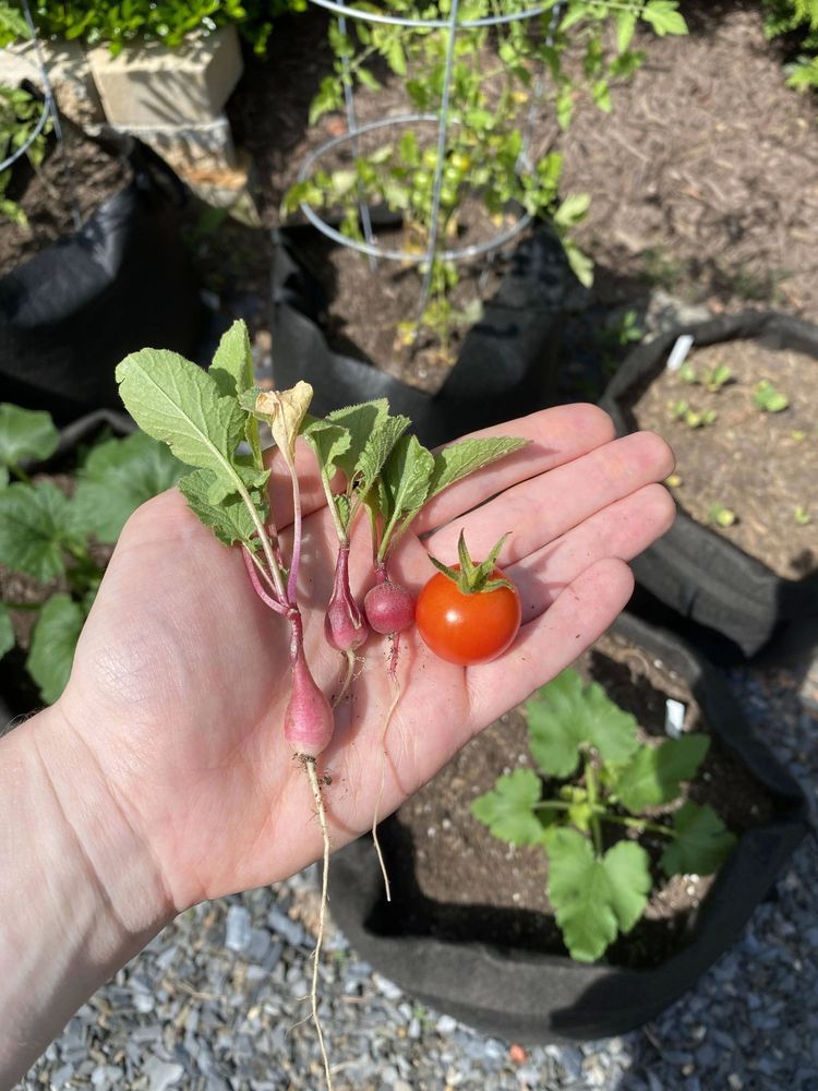 06-14-40-16541700221113092658