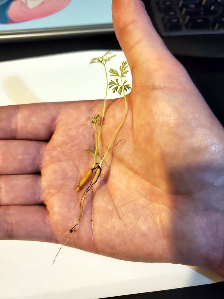 06-14-40-1654170026376408877