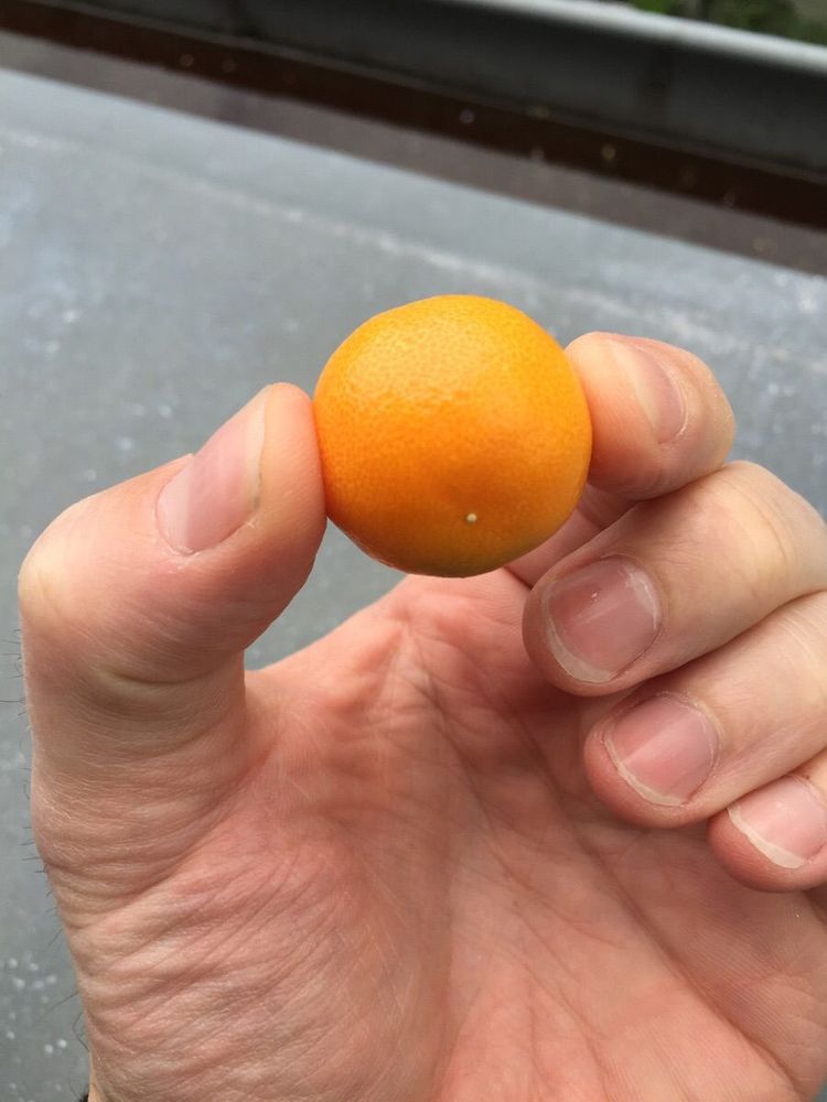 06-14-40-16541700362135386851