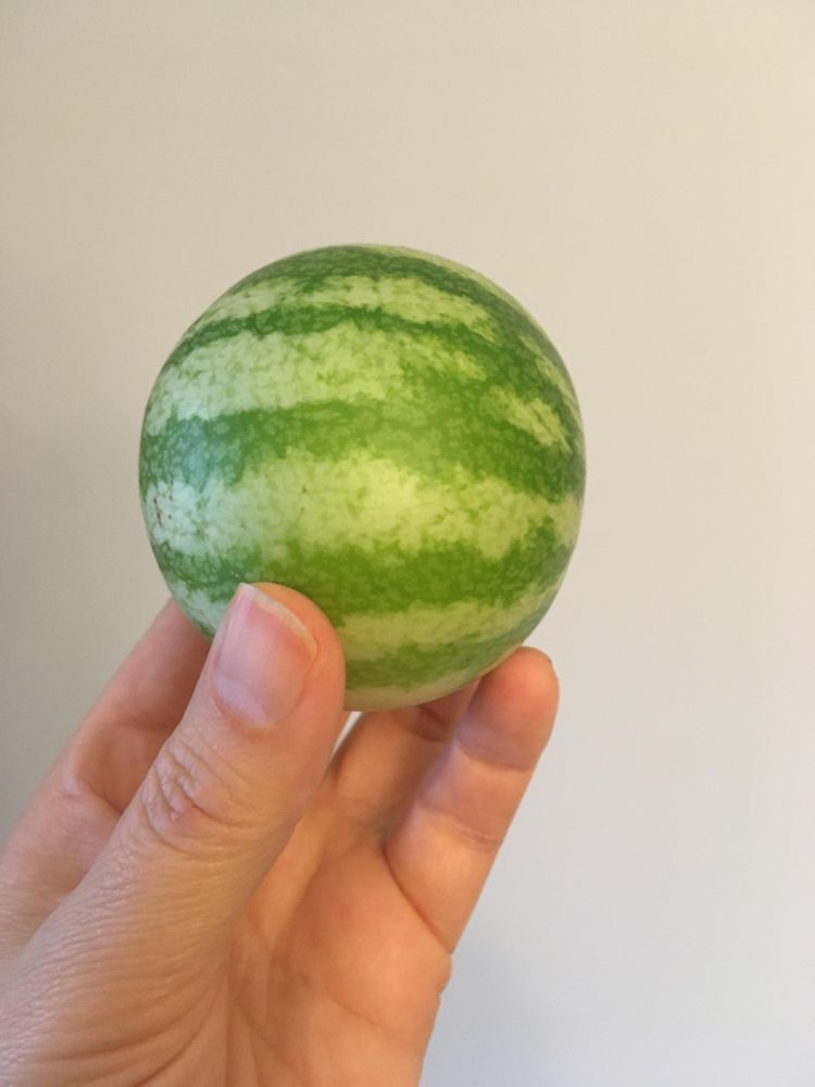 06-14-40-16541700481493217042