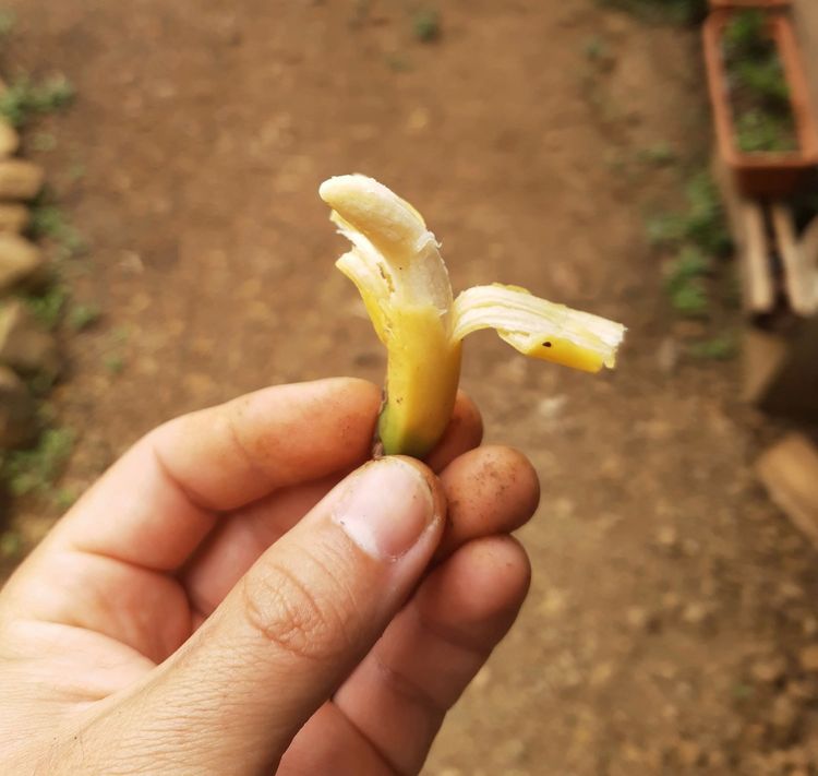 06-14-40-16541700511814768749