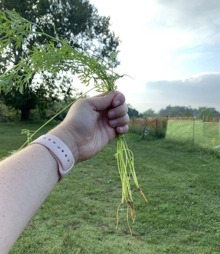 06-14-40-16541700541464470793